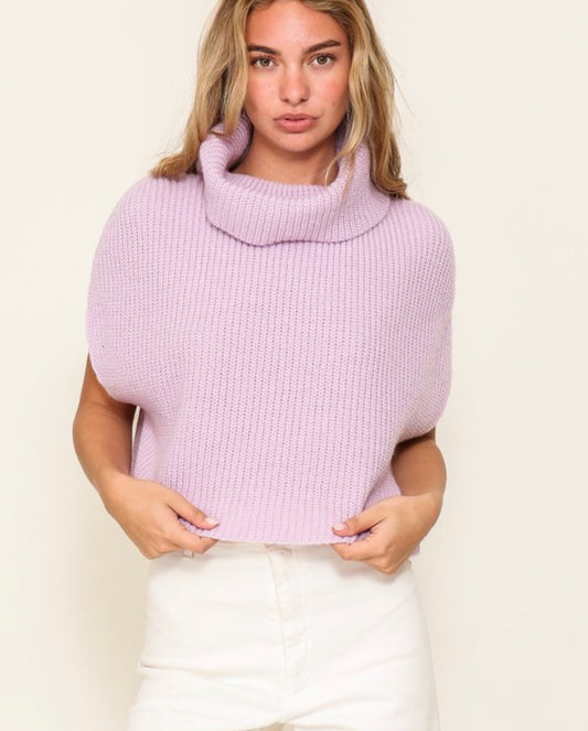 Addie Turtle Neck Sweater