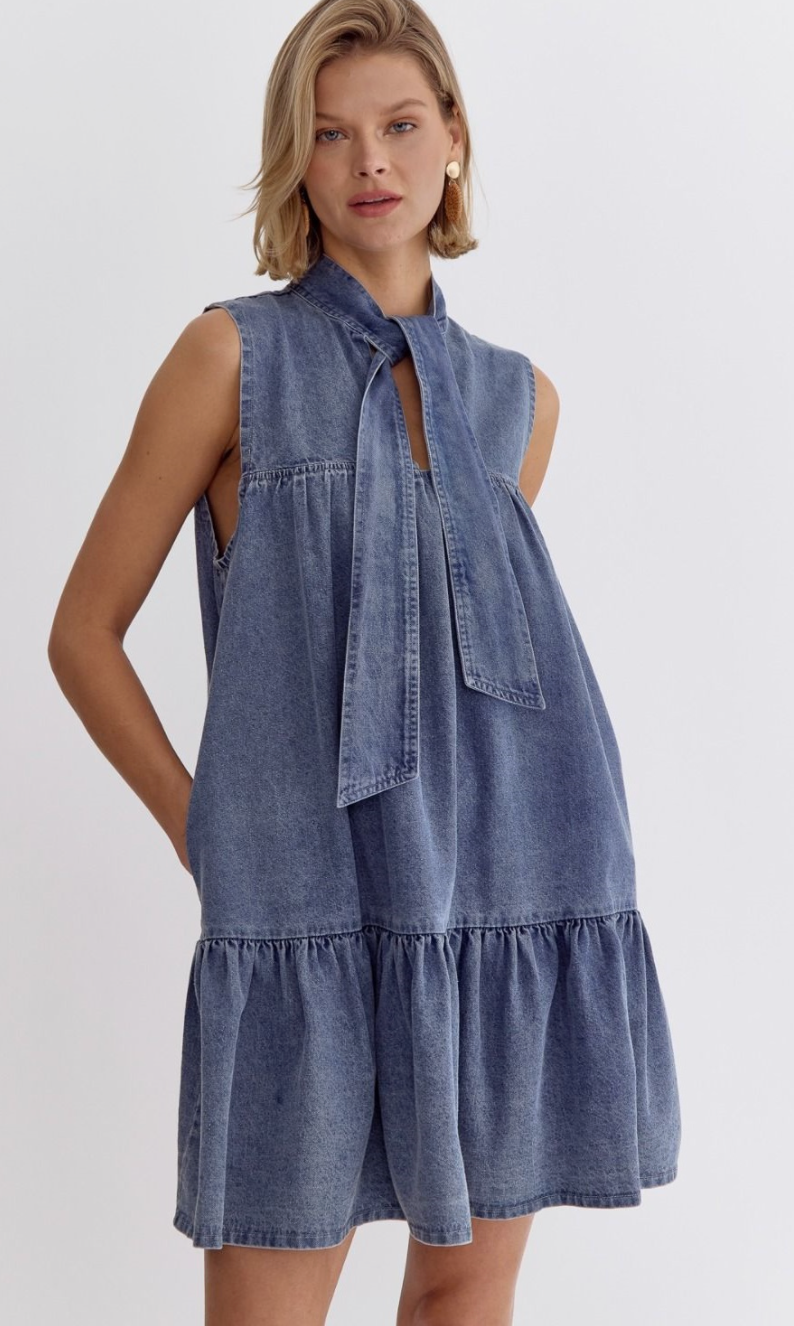 Denim Sleeveless V-Neck Mini Dress