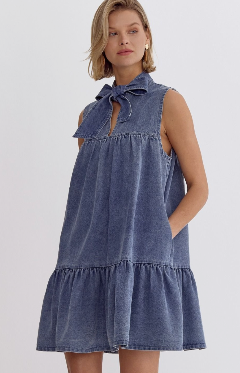 Denim Sleeveless V-Neck Mini Dress